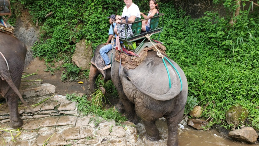 Viajar a Tailandia con niños: Guía definitiva para familias 1 eb3bf23e 444c 47f2 8d29 ed76507c18f8